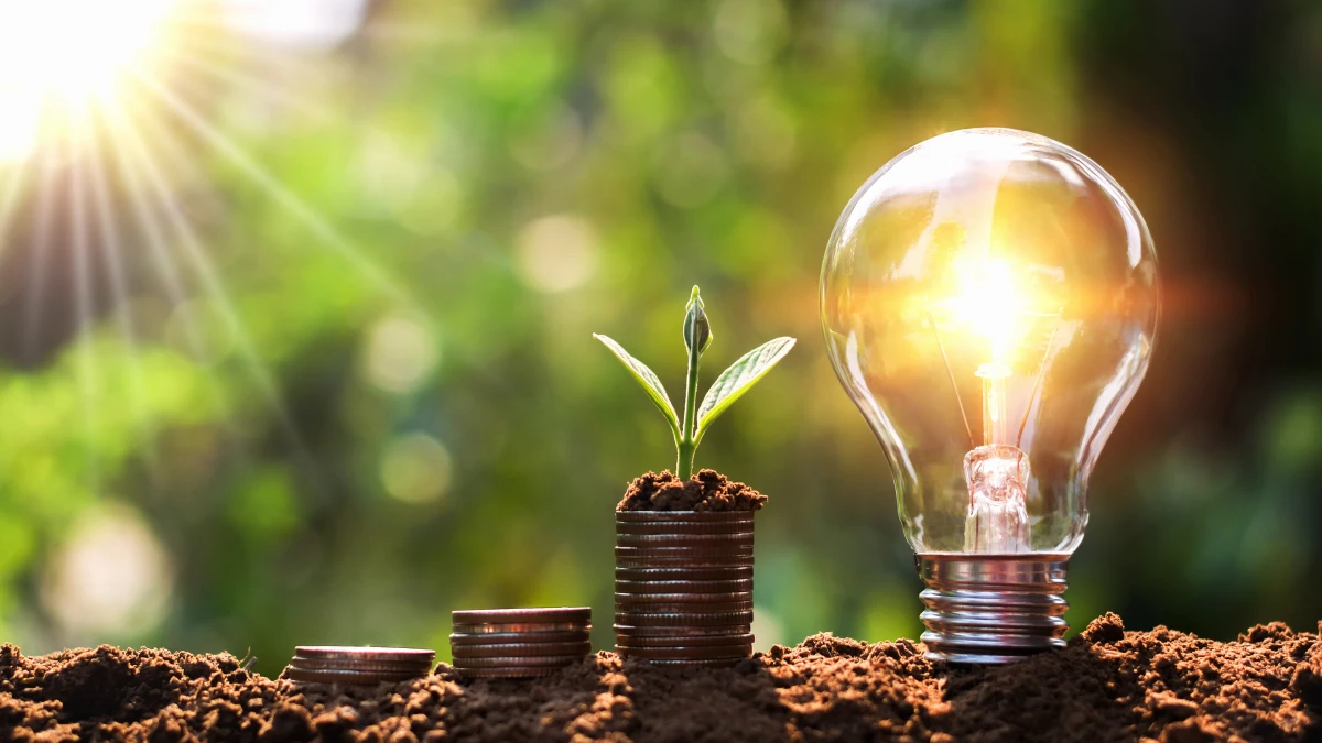 Bundesförderung für effiziente Gebäude (BEG)