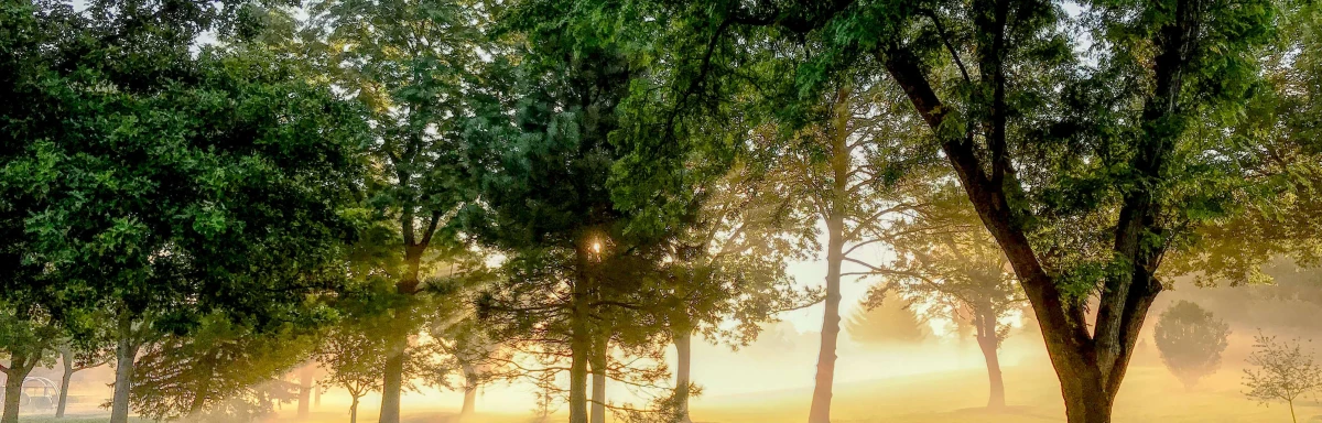 Klima schützen mit dem Klimaschutzgesetz
