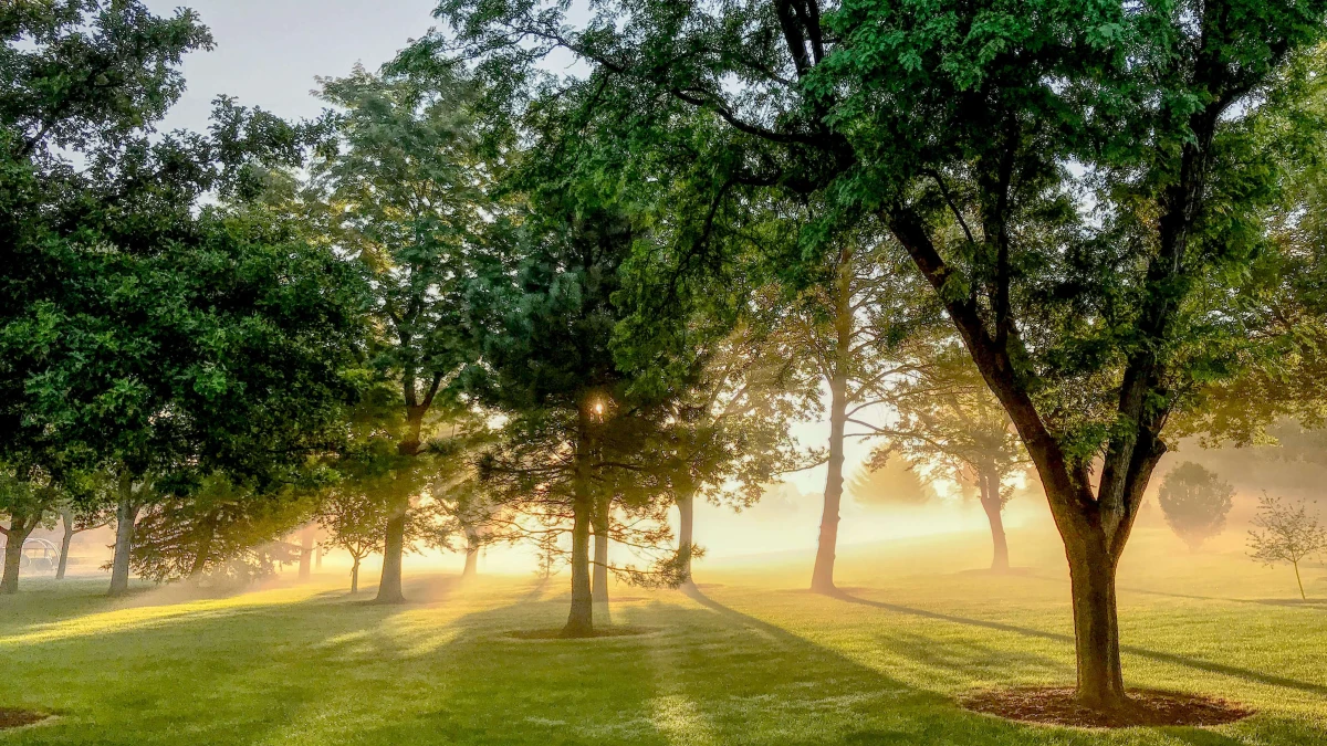 Klima schützen mit dem Klimaschutzgesetz
