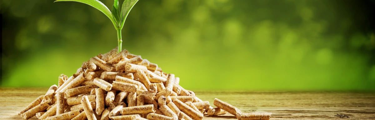 holzpellets-pelletheizung