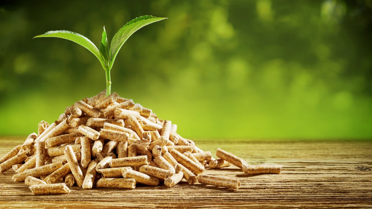 holzpellets-pelletheizung