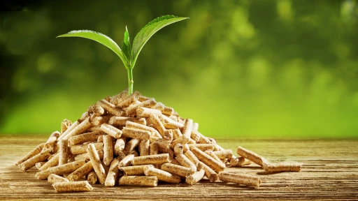 Holzpellets Pelletheizung Energy Building