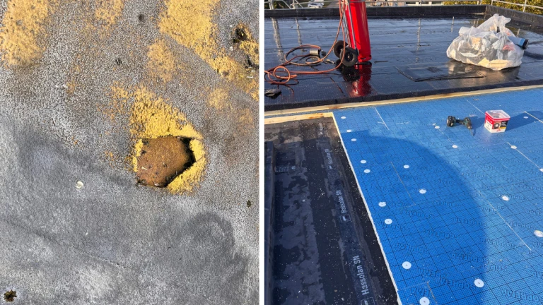 marodes altes flachdach neben sanierung des flachdachs baubegleitung gewerbe hamburg energy building